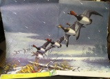 1940 era Large Calendar Art Print of a couple flocks of Red Head Ducks headed into a Marsh during a