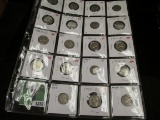 Plastic Stock page with (19) Old Buffalo and Jefferson Nickels dating back to 1913. All ready for th