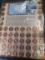 50 States set of counterstamped Lincoln Cents in a frame, all of the coins are dated 1983, some are