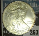 1996 Scarce Date .999 Fine Silver American Eagle Dollar. Lightly toned.
