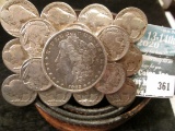 Vintage leather belt with Buffalo Nickels & an 1882 Morgan Dollar belt buckle