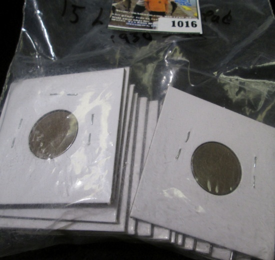 (15) Lincoln Head Cents 1930-39, all carded and ready for sale.