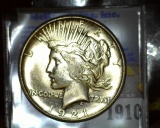 1921 P U.S. Peace Silver Dollar, Lightly toned Brilliant Uncirculated.