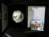 1999 P Silver Proof American Eagle in original velvet-lined box of issue.