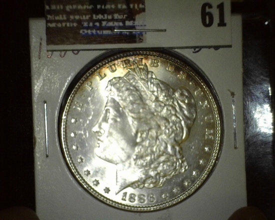1886 P Morgan Silver Dollar, BU.