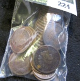 30 Indian Head Cents All For One Money