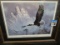 Framed Bald Eagle Print 