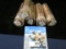 (5) Solid-date Rolls of 1964 Canada Maple Leaf Cents in plastic tubes.