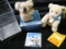 Genuine Mohair Teddy Bear & Koala Bear from Germany. Box for Bear included with hang tags.
