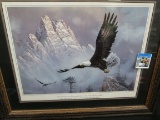 Framed Bald Eagle Print 