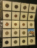 (19) U.S. Coins in a plastic page. Includes 1883 & 1906 Indian Head Cents; 1919S, 31P, 35S, 41P, 51D