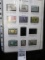 Pack with 4 pages of Older U.S. Stamps. (44 total stamps). Some Mint.