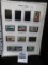 Pack with 4 pages of Older U.S. Stamps. (43 total stamps). Some Mint.