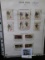 Pack with 4 pages of Older U.S. Stamps. (44 total stamps). 20 Mint. Face value $2.00