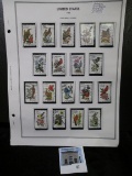 Three pages of Stamps with a complete set of 50 State Flower & birds.