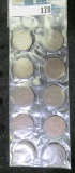 (10) All different 1880-90s dates Indian Head Cents.