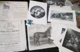 Linotypes, Wood or Steel Engravings. Most have an Equestrian Theme.
