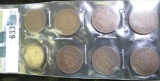 (8) Indian Head Cents 1900-1909 all different.