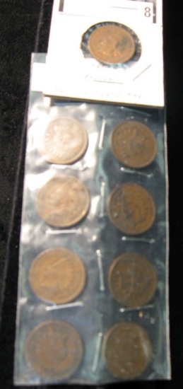 (9) Indian Head Cents dating back to 1865.