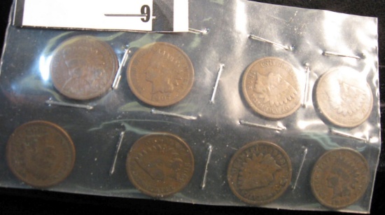 (8) Indian Head Cents dating back to 1895.