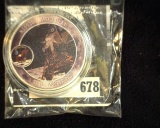 Astronaut Apollo 11 Man on the Moon Tribute Coin in capsule.