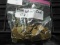 Large Group of Wheat Cents - 479 more or less - some teens thru 50's