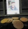Group of 10 Indian Head Cents - G - Fine   1890's and newer