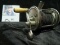 Baitcasting Reel 