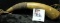 Original Powder Horn ca. 1880-90s.