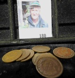 Group of 10 Indian Head Cents - G - Fine   1890's and newer