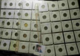 (80) 1968-1975 Canada Dimes all stored in four plastic pages.