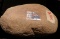 Ancient Stone Metate. Used for grinding food by Native Americans. Found in Marion Co., Iowa. 8 1/4