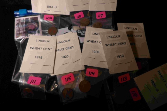 1913 D, (2) 18 P, (2) 19 P, (3) 20 P, 20 D, 25 S, & 29 P Lincoln Cents in a bag.