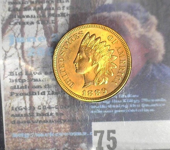 1889 Indian Head Cent, UNC, cld.