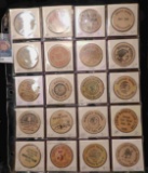 20-Pocket Plastic Page containing Various Wooden Nickels.