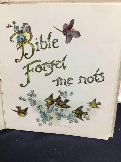 Vintage 1898 Bible forget me not book