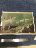 Frame picture of doll sheep