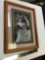 Oak framed photo of husky dog info on back of famous Photografer