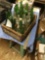wooden crate with Sprite, 7-Up, and Pepsi bottles