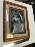 Oak framed photo of husky dog info on back of famous Photografer