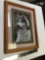 Oak framed photo of husky dog info on back of famous Photographer
