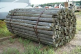 (140 PC) TREATED FENCE POST