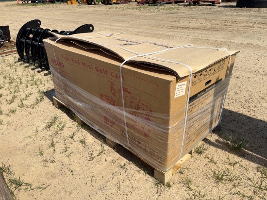 Unused Irgc40 High End Mini Golf Cart