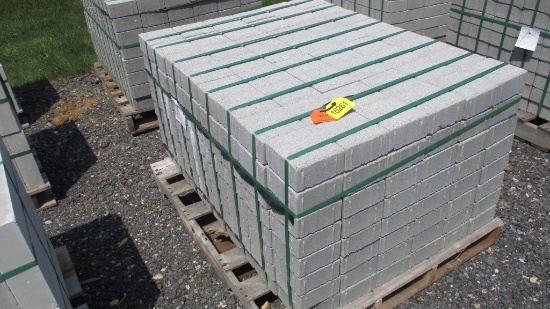 Bricks 6" x 6" x 3"