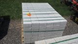 Bricks 6