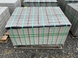 New Hanover Permeable Paver Natural Finish
