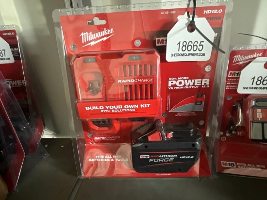 Milwaukee 12.0 Battery & Rapid Charger Kit