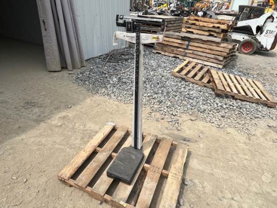 Scale