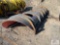 Front plow blade - Monroe County