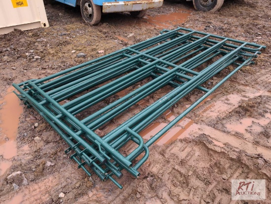 6X 9ft corral gates